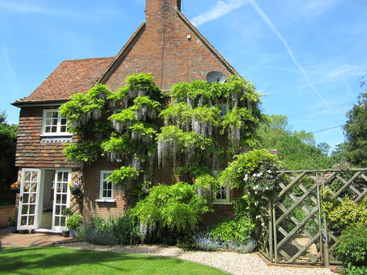 Vine Cottage Farnham  Zewnętrze zdjęcie