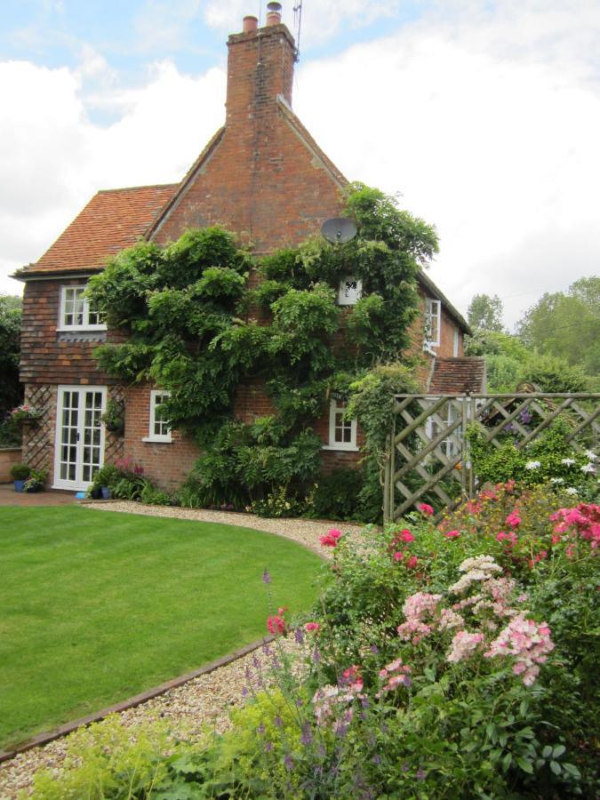 Vine Cottage Farnham  Zewnętrze zdjęcie