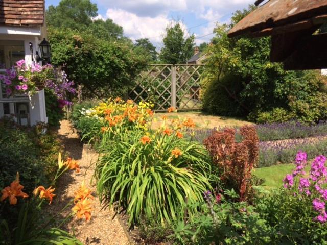 Vine Cottage Farnham  Zewnętrze zdjęcie